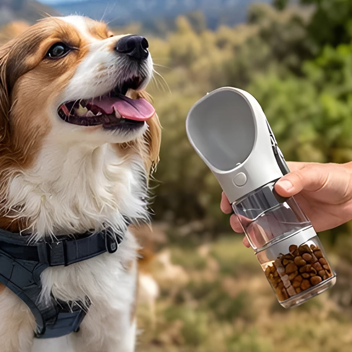 Perro feliz con la botella Petloom en una excursión