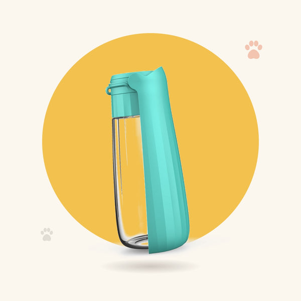 Botella plegable Petloom – Turquesa